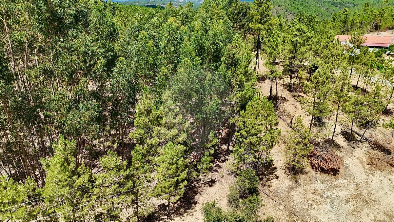 Terreno para Venda em Sarzedas Foto 25