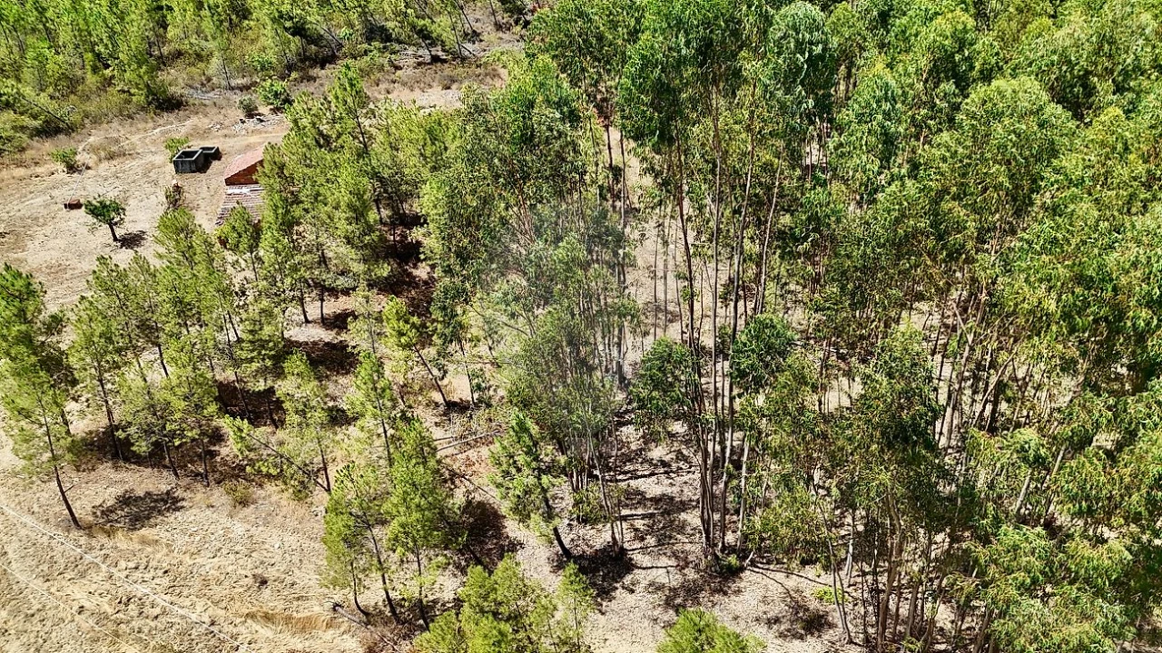 Terreno para Venda em Sarzedas Foto 21