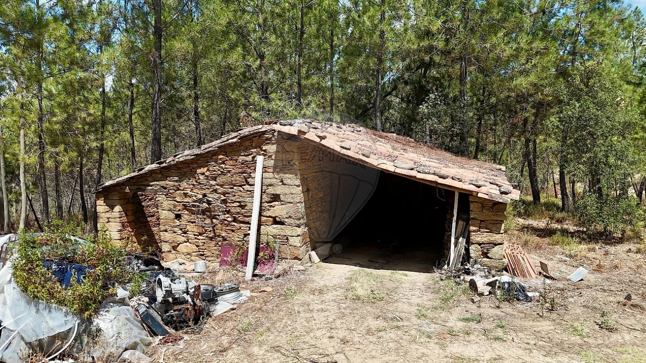 Terreno para Venda em Sarzedas Foto 28