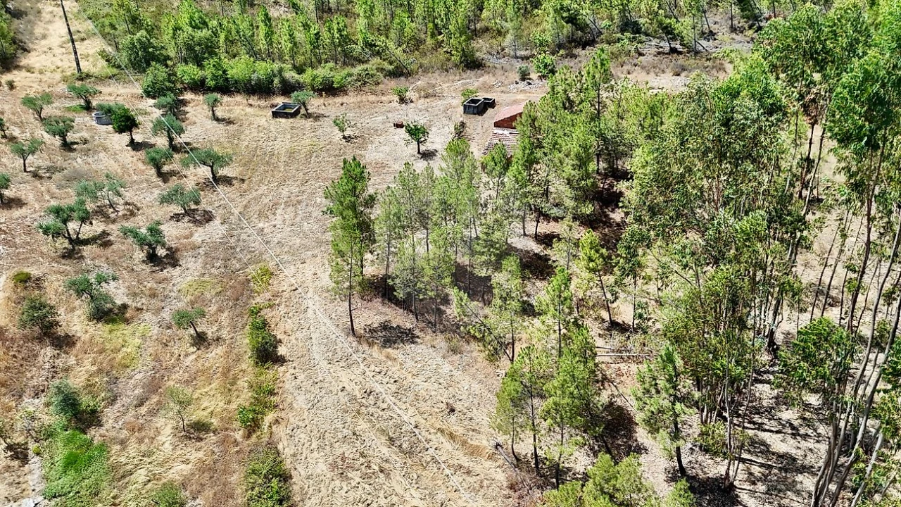 Terreno para Venda em Sarzedas Foto 20