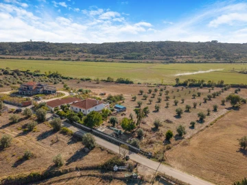 Moradia T3 para Venda em Moçarria