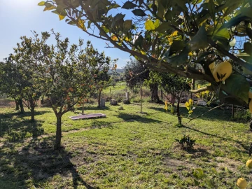 Moradia T3 para Venda em Moçarria