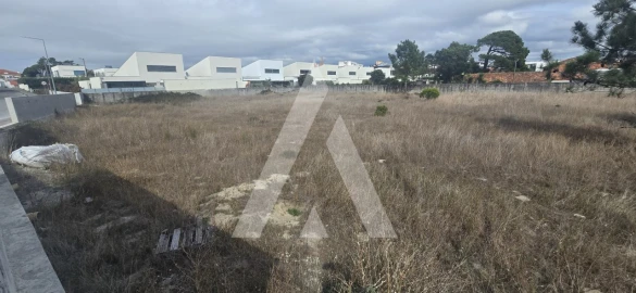 Terreno para Venda em Apúlia e Fão