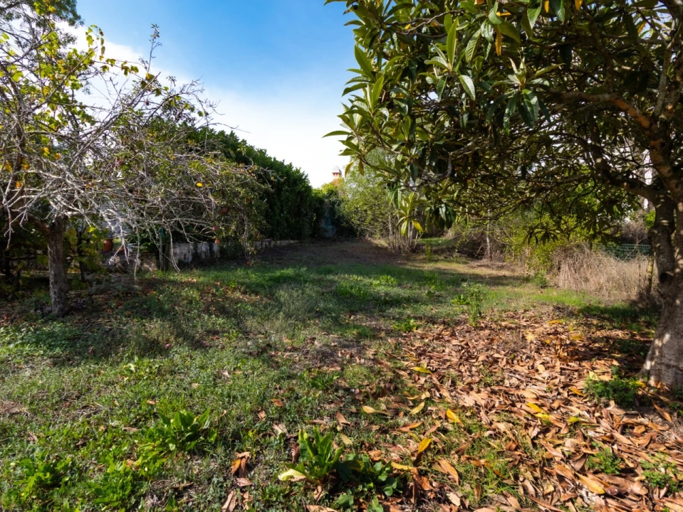 Moradia T3 para Venda em Portunhos e Outil Foto 19