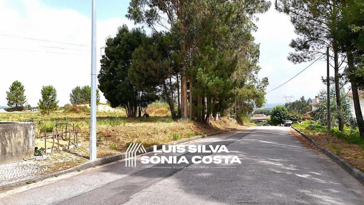 Terreno Agricola ou Rústico para Venda em Pinheiro da Bemposta, Travanca e Palmaz Foto 14