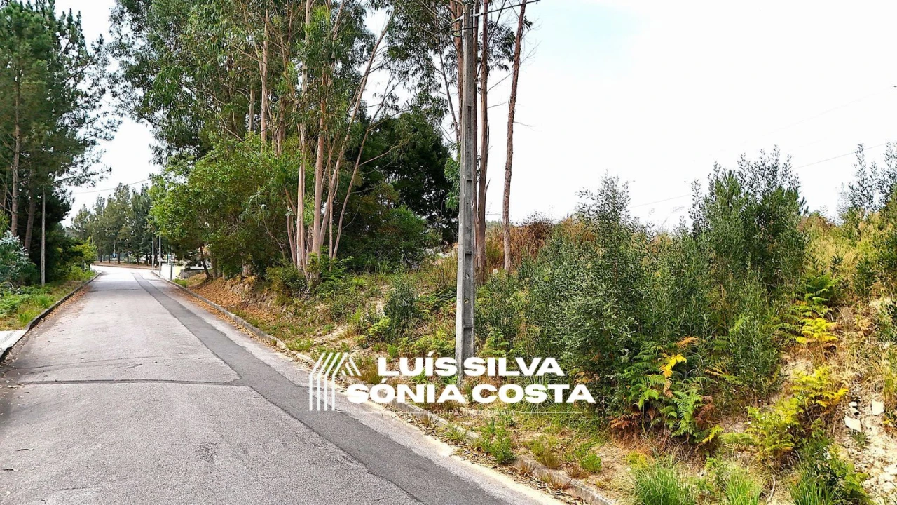 Terreno Agricola ou Rústico para Venda em Pinheiro da Bemposta, Travanca e Palmaz Foto 15