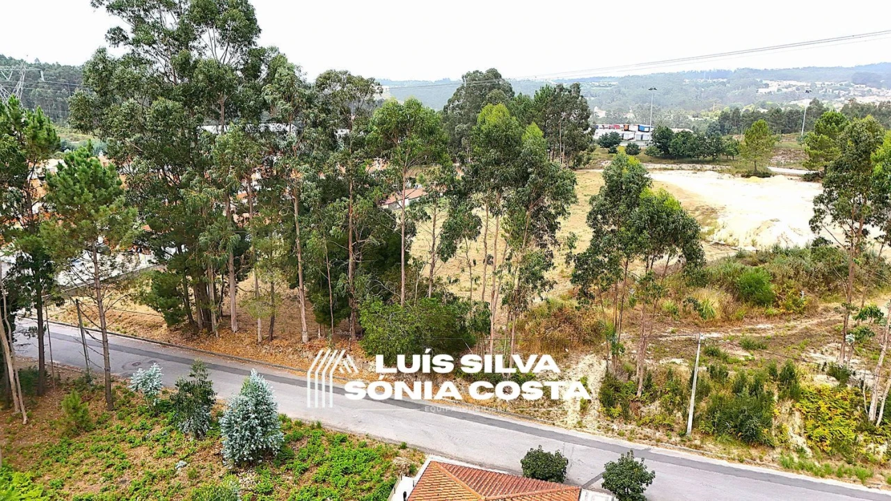 Terreno Agricola ou Rústico para Venda em Pinheiro da Bemposta, Travanca e Palmaz Foto 9