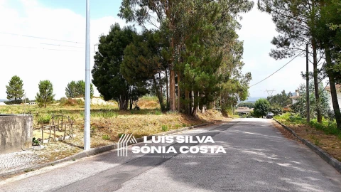 Terreno Agricola ou Rústico para Venda em Pinheiro da Bemposta, Travanca e Palmaz