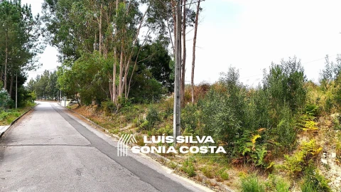 Terreno Agricola ou Rústico para Venda em Pinheiro da Bemposta, Travanca e Palmaz
