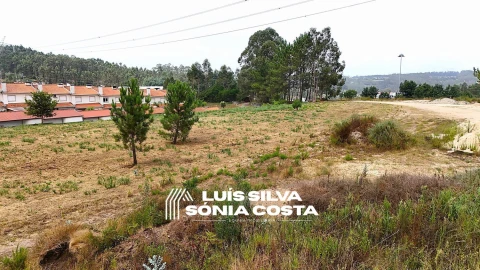 Terreno Agricola ou Rústico para Venda em Pinheiro da Bemposta, Travanca e Palmaz