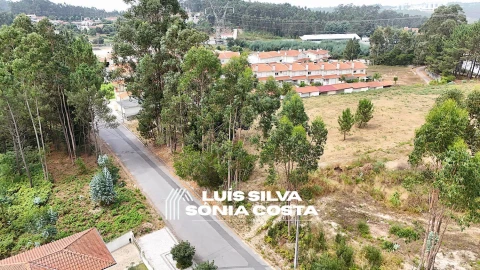 Terreno Agricola ou Rústico para Venda em Pinheiro da Bemposta, Travanca e Palmaz
