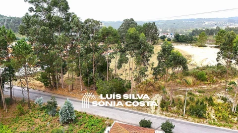 Terreno Agricola ou Rústico para Venda em Pinheiro da Bemposta, Travanca e Palmaz