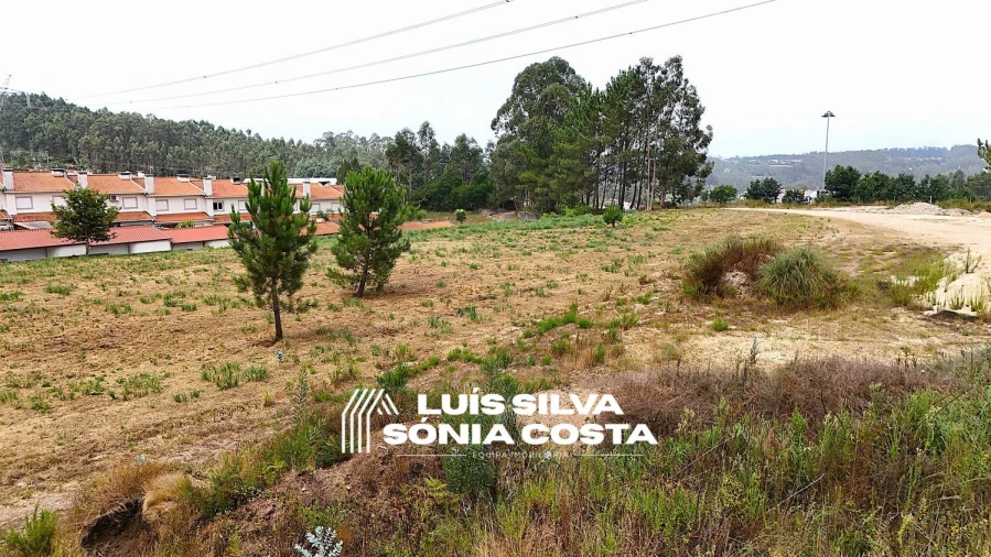 Terreno Agricola ou Rústico para Venda em Pinheiro da Bemposta, Travanca e Palmaz Foto 16