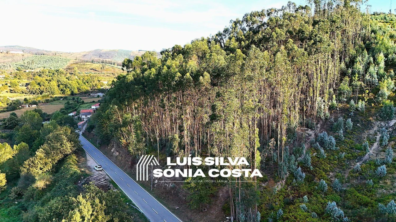Terreno Agricola ou Rústico para Venda em Arouca e Burgo Foto 1
