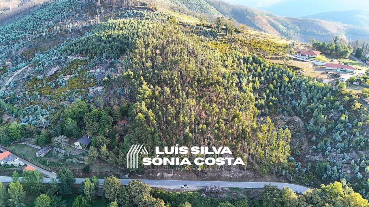 Terreno Agricola ou Rústico para Venda em Arouca e Burgo Foto 14