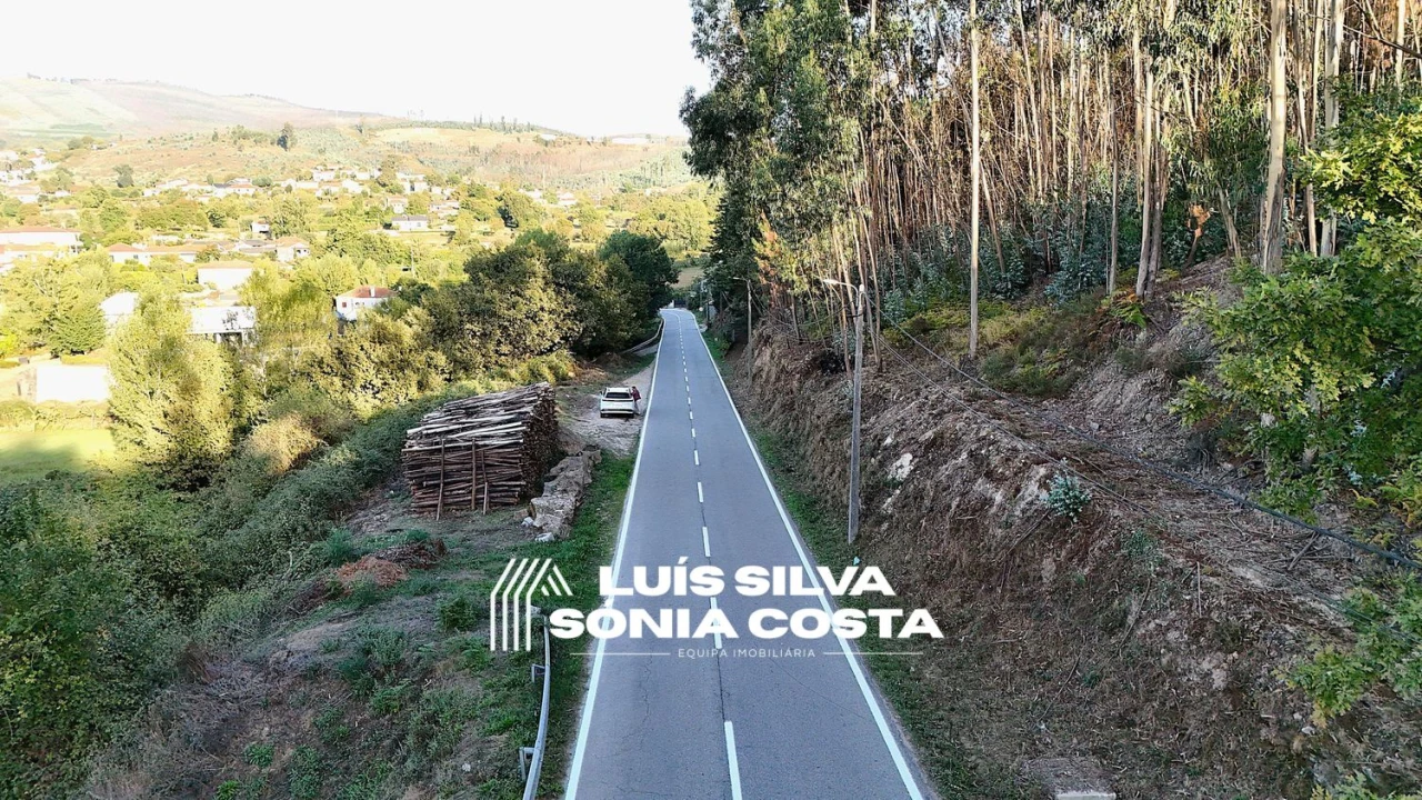 Terreno Agricola ou Rústico para Venda em Arouca e Burgo Foto 18