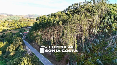 Terreno Agricola ou Rústico para Venda em Arouca e Burgo
