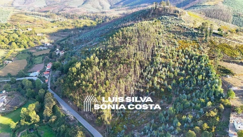 Terreno Agricola ou Rústico para Venda em Arouca e Burgo