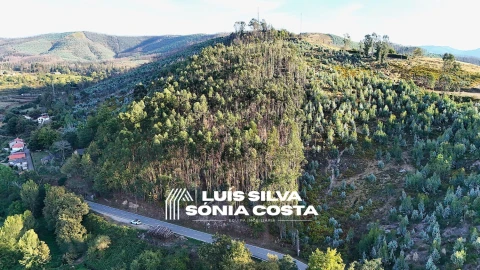Terreno Agricola ou Rústico para Venda em Arouca e Burgo