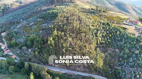 Terreno Agricola ou Rústico para Venda em Arouca e Burgo