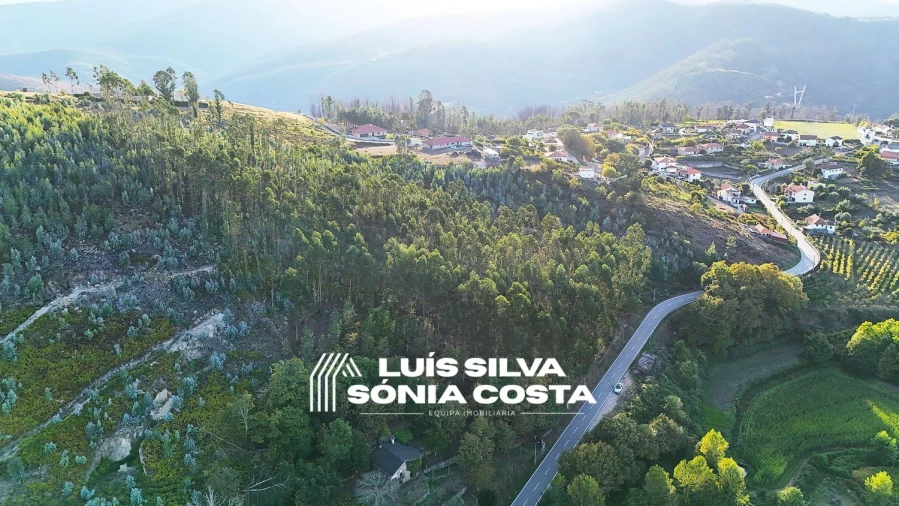 Terreno Agricola ou Rústico para Venda em Arouca e Burgo Foto 12
