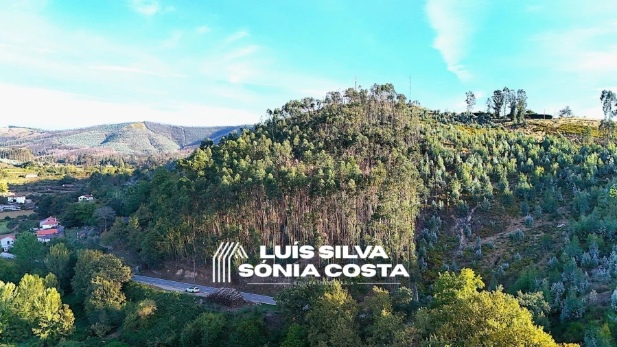 Terreno Agricola ou Rústico para Venda em Arouca e Burgo Foto 15