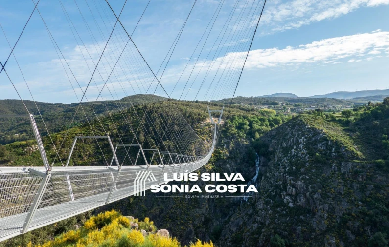 Terreno Agricola ou Rústico para Venda em Arouca e Burgo Foto 4