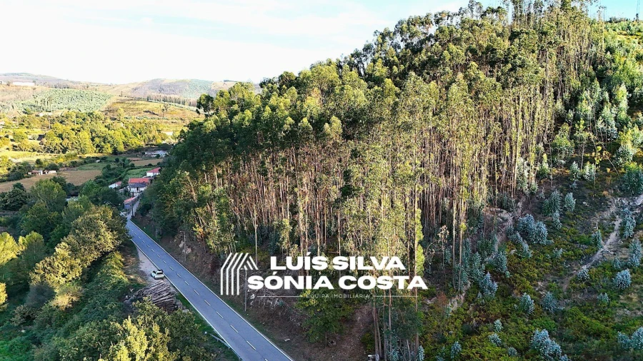Terreno Agricola ou Rústico para Venda em Arouca e Burgo