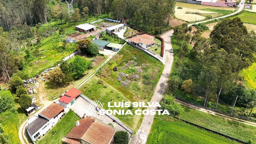Terreno Agricola ou Rústico para Venda em Vila de Cucujães Foto 5