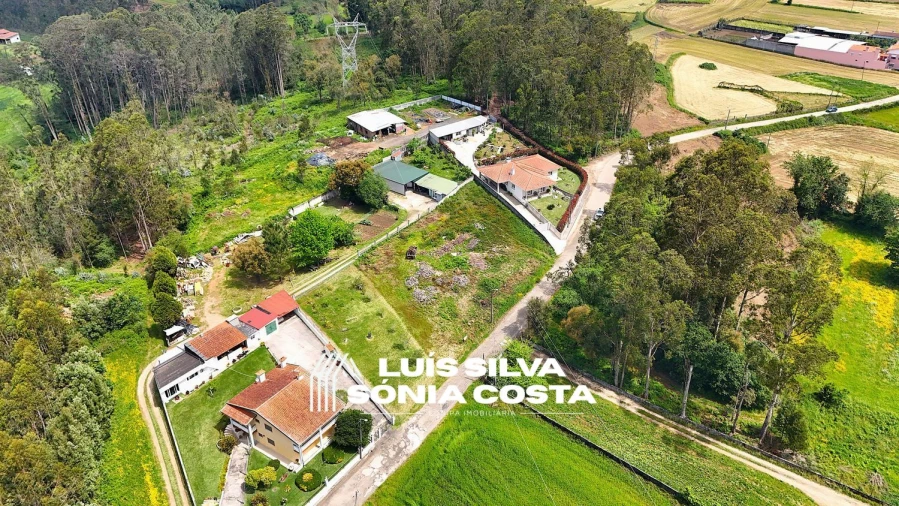 Terreno Agricola ou Rústico para Venda em Vila de Cucujães Foto 7