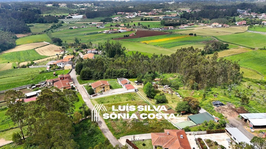 Terreno Agricola ou Rústico para Venda em Vila de Cucujães Foto 8