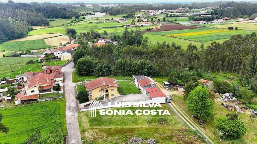 Terreno Agricola ou Rústico para Venda em Vila de Cucujães Foto 9