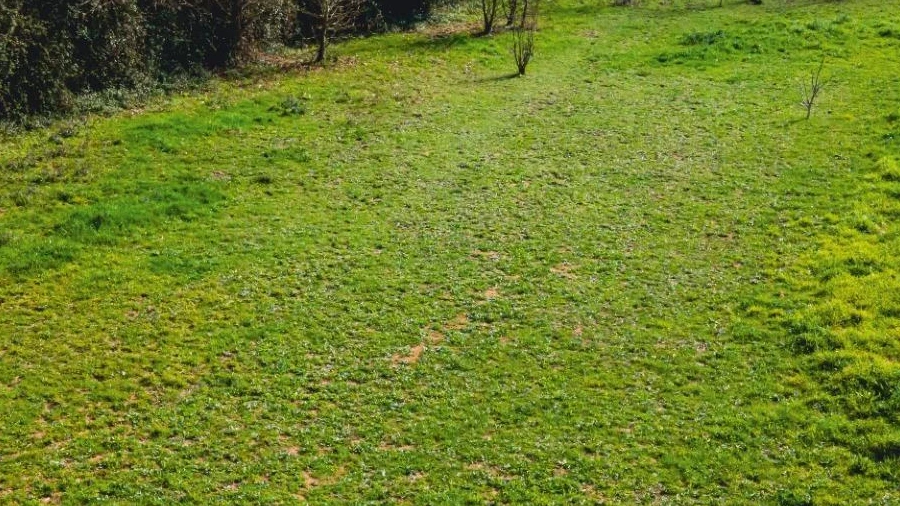 Terreno para Venda em Santa Maria da Feira, Travanca, Sanfins e Espargo