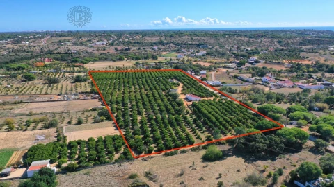Terreno para Venda em Quarteira