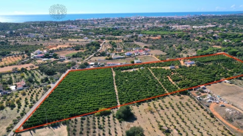 Terreno para Venda em Quarteira