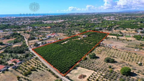 Terreno para Venda em Quarteira