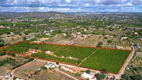 Terreno para Venda em Quarteira