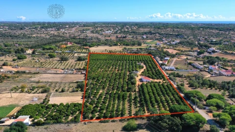 Terreno para Venda em Quarteira