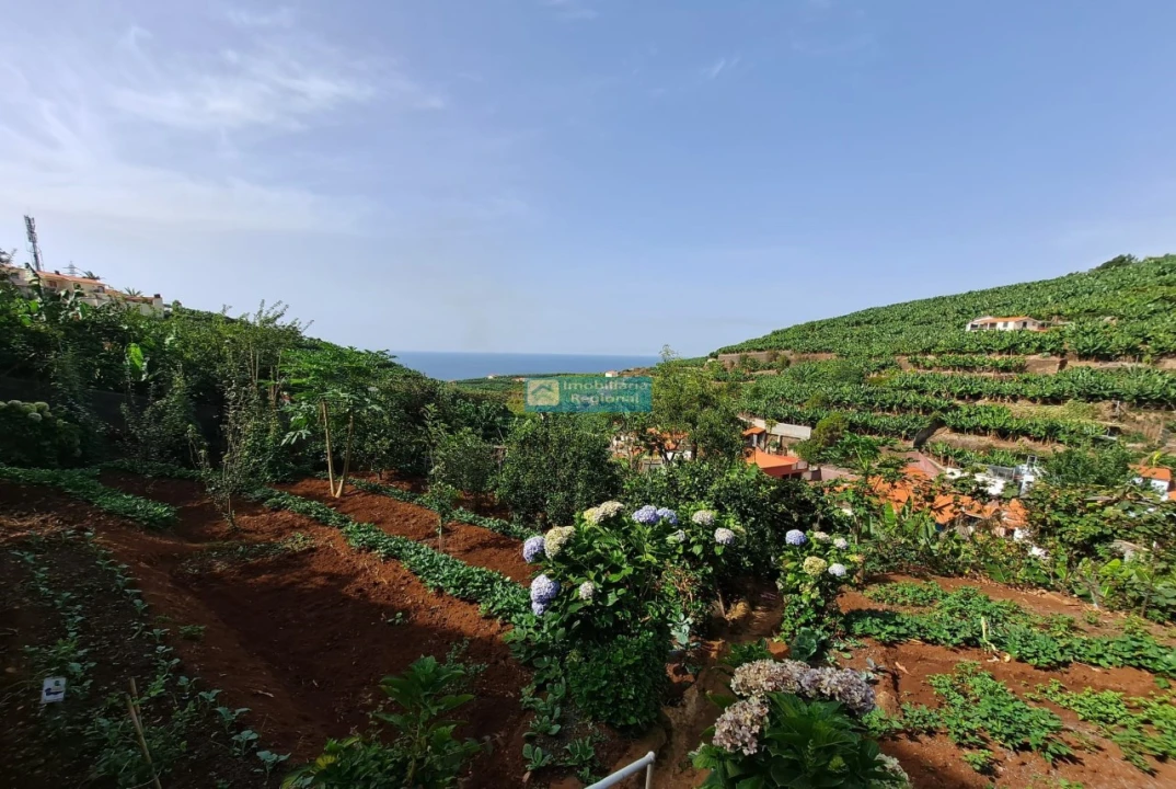 Moradia T4 para Venda em São Martinho Foto 22