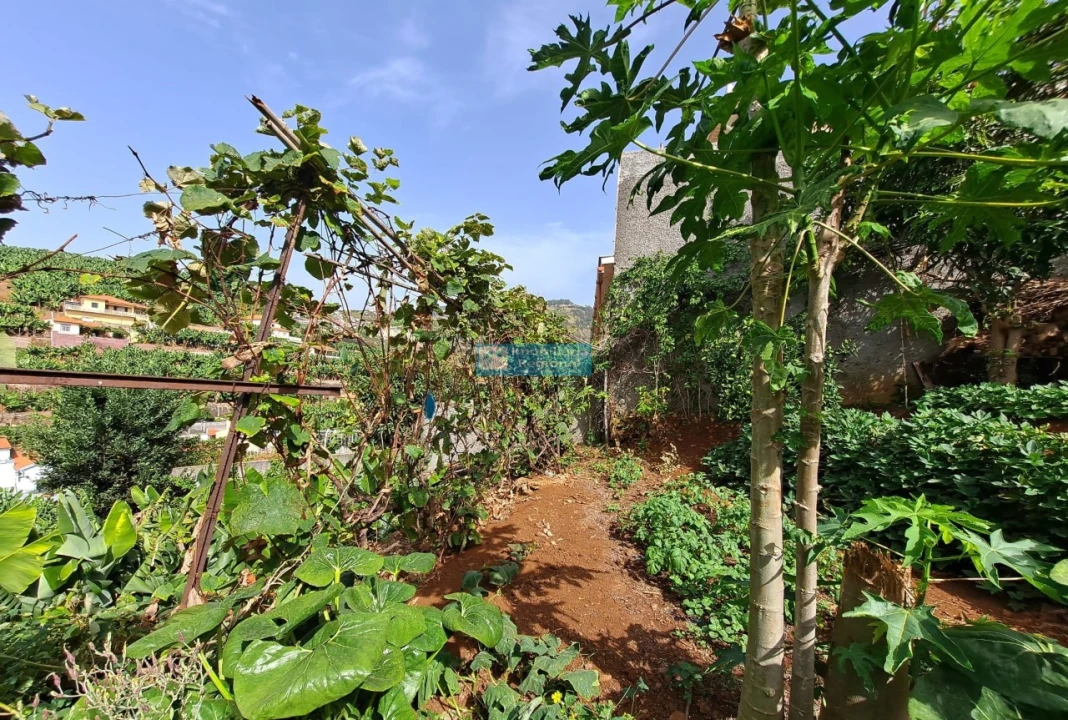 Moradia T4 para Venda em São Martinho Foto 23
