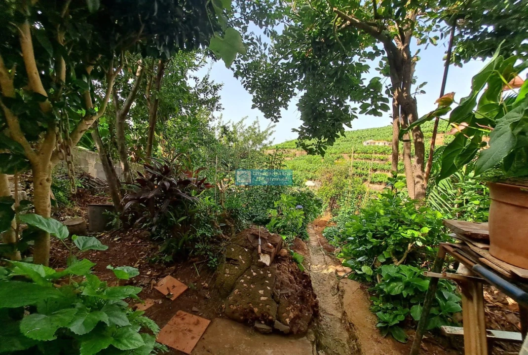 Moradia T4 para Venda em São Martinho Foto 25