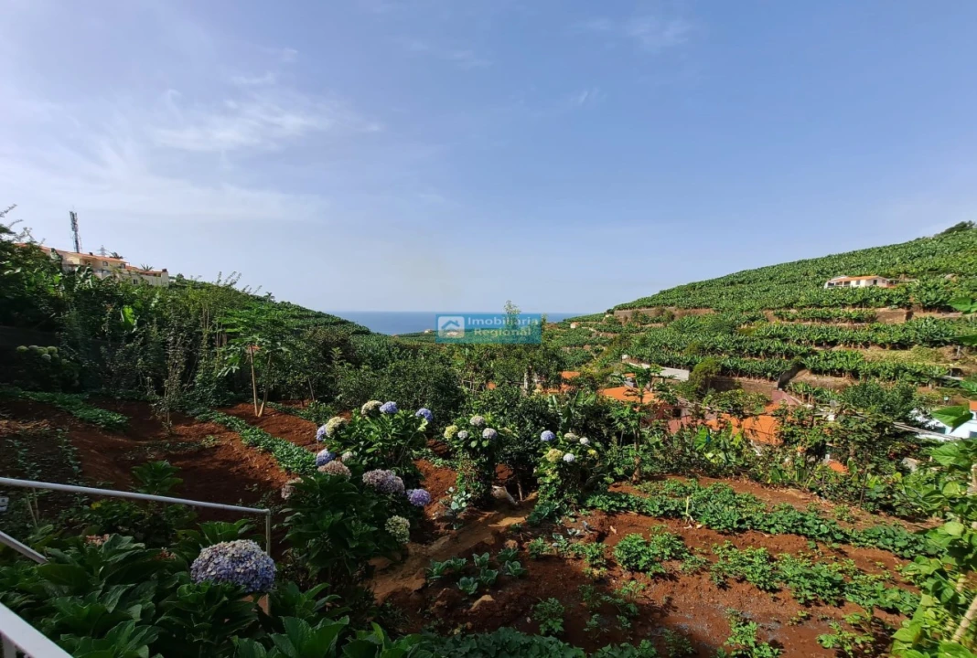 Moradia T4 para Venda em São Martinho Foto 20