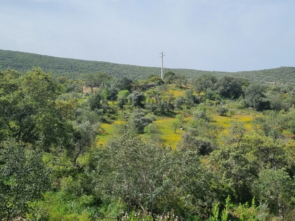 Moradia T3 para Venda em Loule (São Clemente) Foto 26