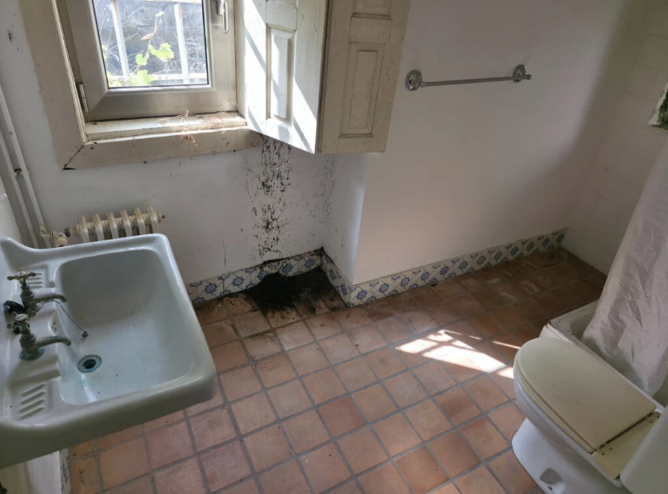 Quinta para Venda em São Tomé de Negrelos Foto 21