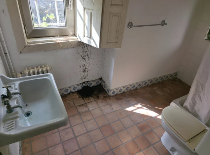 Quinta para Venda em São Tomé de Negrelos Foto 21