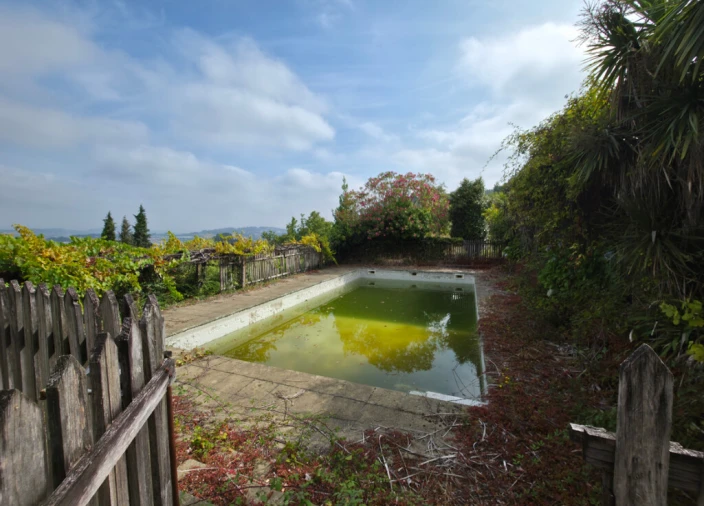 Quinta para Venda em São Tomé de Negrelos Foto 29