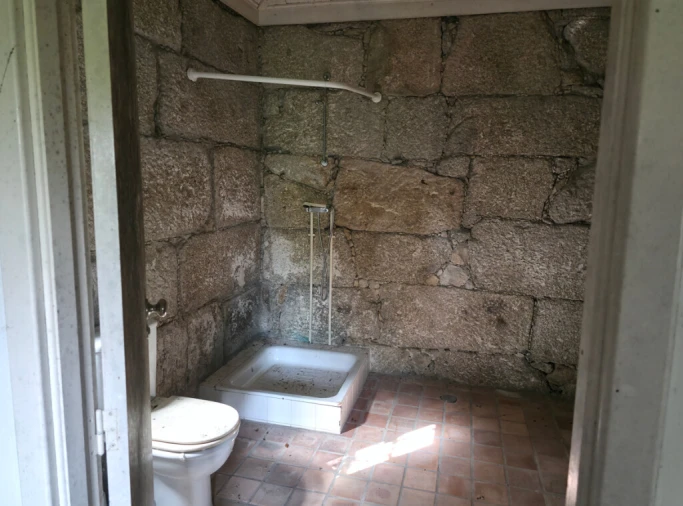 Quinta para Venda em São Tomé de Negrelos Foto 25