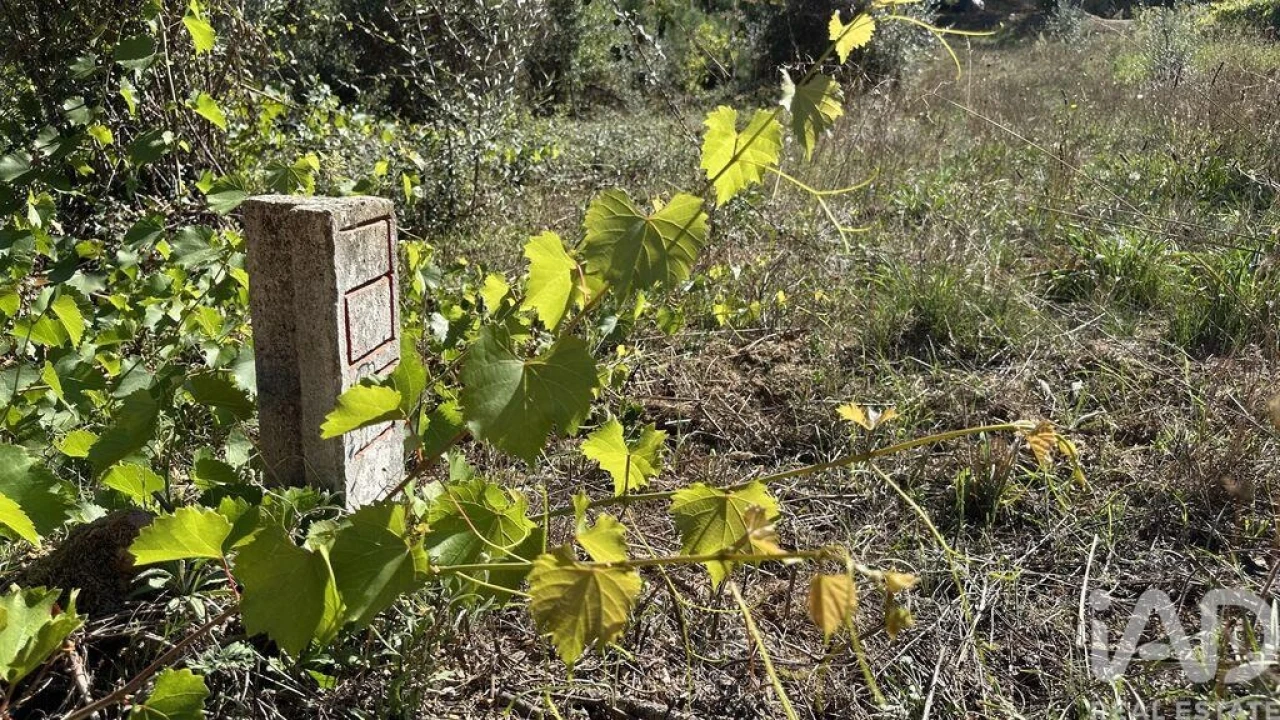 Terreno para Venda em Graça Foto 3