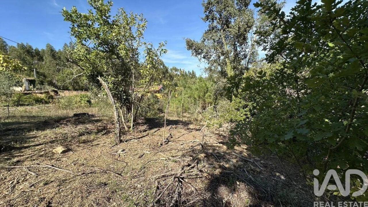Terreno para Venda em Graça Foto 10