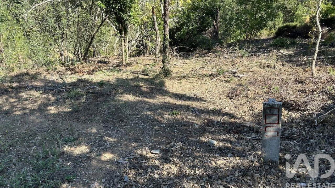 Terreno para Venda em Graça Foto 11